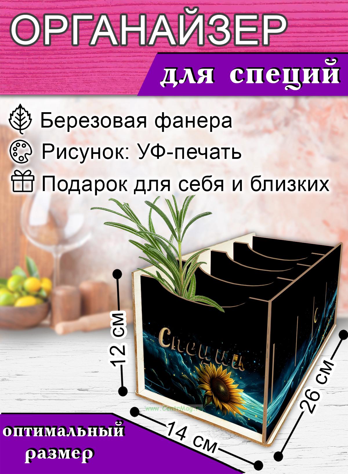 Органайзер для специй Галактика, 4 отсека, 12х14х26 см