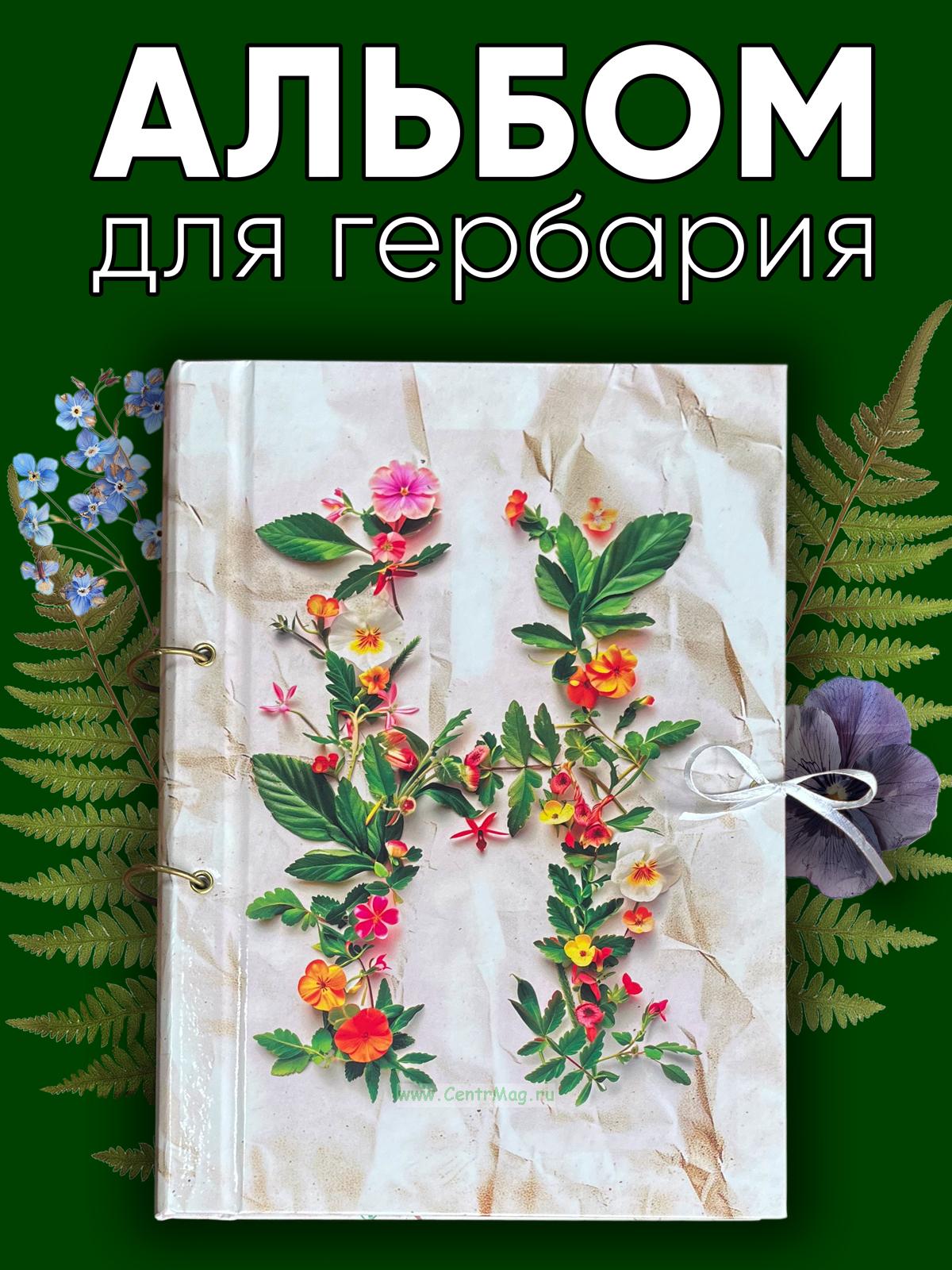 Альбом для гербария | Не знаете, что подарить близким? | ВКонтакте