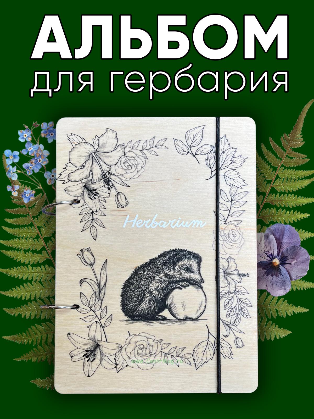 Альбом для гербария