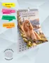 Календарь настенный, перекидной "Американский кокер-спаниель" на 2027 год