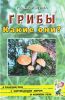 Грибы. Какие они? Книга для воспитателей, гувернеров и родителей