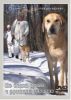 DVD По белой тропе с русскими гончими