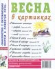 Весна в картинках