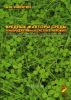 Вредные факторы среды и репродуктивная система человека (ответственность перед будущими поколениями)