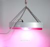 Фито прожектор для выращивания растений