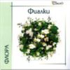 Фиалки на CD