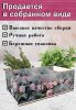 Органайзер для чайных пакетиков "Пион", 23 х 13 х 8 см, 3 отсека