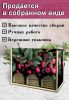 Органайзер для чайных пакетиков вертикальный "Ягоды" (резной), 15,5 х 9 х 23,1 см