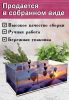 Органайзер для чайных пакетиков "Воздушные шары", 23х13х8 см, 3 отсека