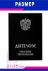 Обложка для диплома о высшем образовании с гербом РФ, бумвинил, черный, серебряное тиснение