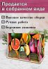 Органайзер для чайных пакетиков вертикальный "Фрукты" (резной), 15,5 х 9 х 23,1 см