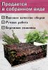 Органайзер для чайных пакетиков "Вьюн", 23х13х8 см, 3 отсека