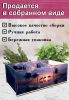 Органайзер для чайных пакетиков "Дельфины", 23х13х8 см, 3 отсека