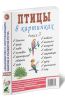 Птицы в картинках: наглядное пособие для педагогов, логопедов, воспитателей и родителей. Выпуск 3