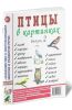 Птицы в картинках: наглядное пособие для педагогов, логопедов, воспитателей и родителей. Выпуск 2
