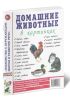 Домашние животные в картинках. Наглядное пособие для педагогов, логопедов, воспитателей и родителей