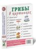 Грибы в картинках. Наглядное пособие для педагогов, логопедов, воспитателей и родителей