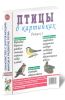 Птицы в картинках: наглядное пособие для педагогов, логопедов, воспитателей и родителей. Выпуск 1
