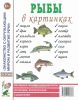 Рыбы в картинках: наглядное пособие для педагогов, логопедов, воспитателей, родителей