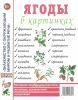 Ягоды в картинках