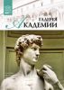 Великие музеи мира. Том 21. Галерея Академия