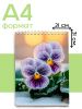 Скетчбук "Фиалки", А4