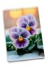 Скетчбук "Фиалки", А4