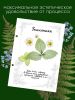Сменный блок для альбома для гербария "Поганки", А4