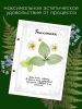 Сменный блок для альбома для гербария "Березки", А4