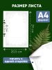 Сменный блок для альбома для гербария "Березки", А4