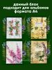 Сменный блок для альбома для гербария "Березки", А4
