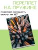 Скетчбук "Город", А4