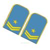 Погоны РЖД. Вышитые. Округлые. Съемные. Голубые. Одна звезда и две петлицы