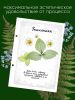 Сменный блок для альбома для гербария "Березки", А5