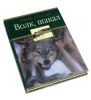 Волк, шакал. Охота в России