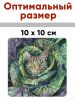 Подставки для кружек "Тайная жизнь кота", 4 шт (10 х 10 см), картон