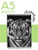 Скетчбук "Тигр", А5