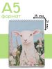 Скетчбук "Винтажная овечка", А5