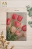 Ежедневник недатированный "Тюльпаны", А5, 96 страниц