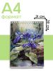 Скетчбук "Дикая фиалка", А4