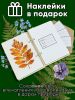 Альбом для гербария и коллекционирования трав, цветов и растений "Василек" с калькой