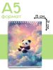 Скетчбук "Панда", А5