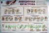 Комплект плакатов "Уголок безопасности школьника". (10 листов, 70х100 см)