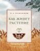 Как живет растение
