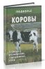 Коровы: породы, разведение, содержание, уход