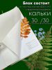 Альбом для гербария и коллекционирования трав, цветов и растений с калькой "Сердечки"