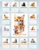 Настольный календарь-домик "Акварельные кошки" на 2025 год