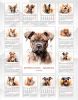 Календарь настенный, перекидной "Портреты собак - акварелью" на 2025 год