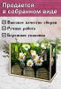 Органайзер для чайных пакетиков вертикальный "Ромашки" (резной), 15,5 х 9 х 23,1 см