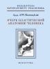 Очерк пластической анатомии человека